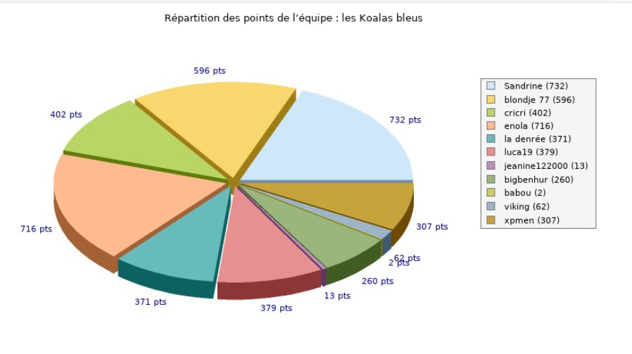 les koala.JPG
